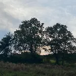 La Cour De La Foret *