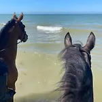 בית נופש La Cour De La Foret Saint-Mars-de-Coutais