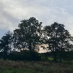 La Cour De La Foret *