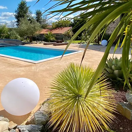 La Cour De La Foret *