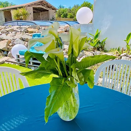 La Cour De La Foret Vakantiehuis Saint-Mars-de-Coutais