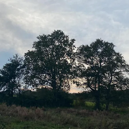 La Cour De La Foret *