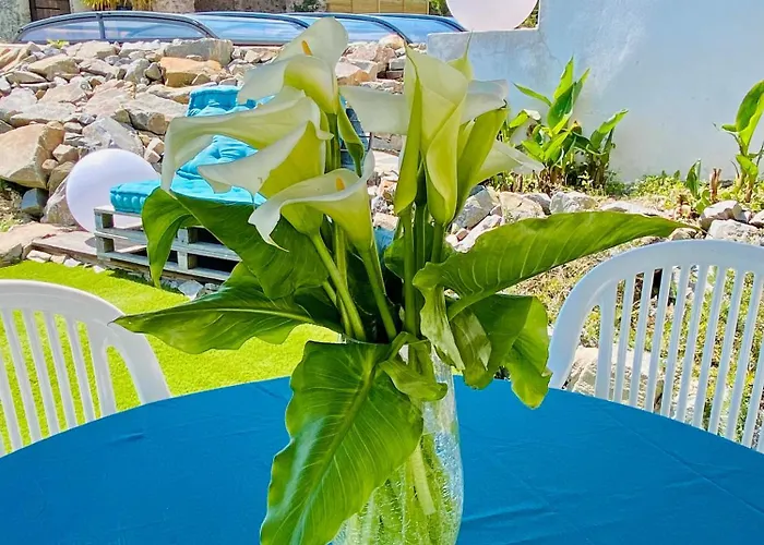 La Cour De La Foret Feriehus Saint-Mars-de-Coutais