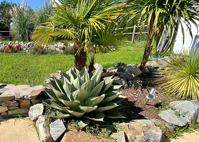 La Cour De La Foret * Saint-Mars-de-Coutais