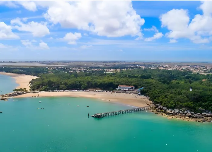 La Cour De La Foret *