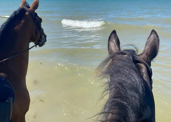 Feriehus La Cour De La Foret Saint-Mars-de-Coutais